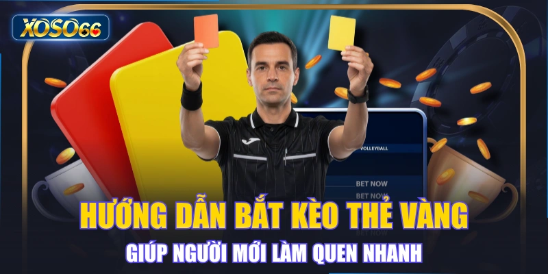 Hướng Dẫn Bắt Kèo Thẻ Vàng Giúp Người Mới Làm Quen Nhanh